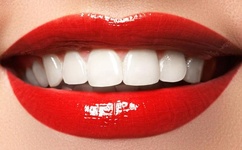 乐比悠悠全集下载